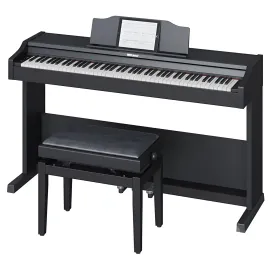 Roland RP 102